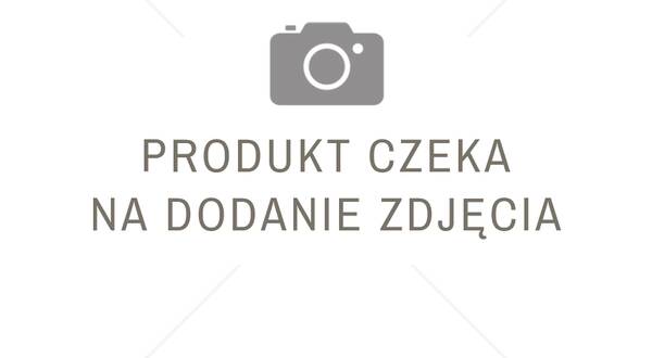 Tynk Durasilex Grienplast