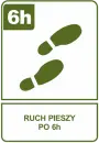 Ruch pieszy po 6h