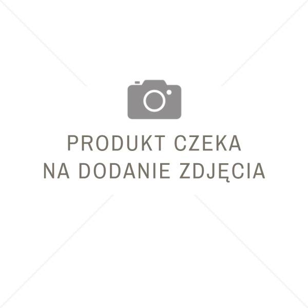 Grunt krzemianowo - polimerowy GREINPLAST UKP